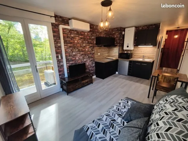 Studio meublé climatisé 25m² avec balcon et cave entièrement rénové