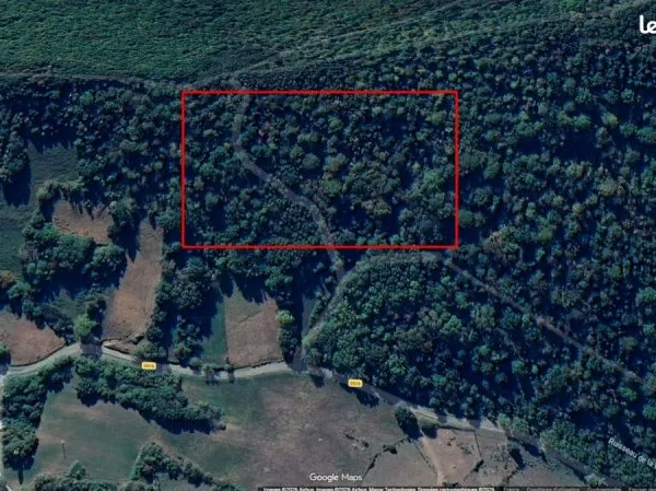 Terrain boisé à vendre - Lesparrou (09300) - 410 m²