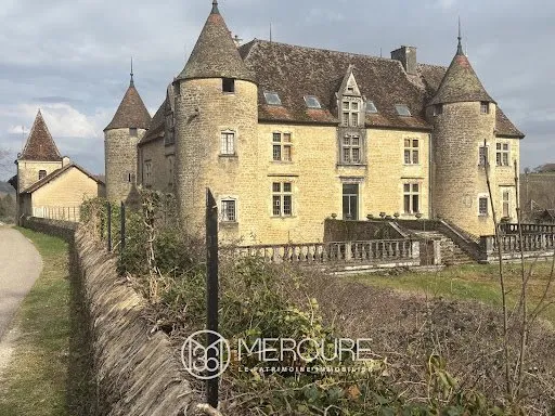 Château 900 m²