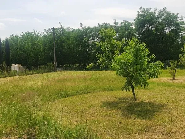 Terrain 1101 m²