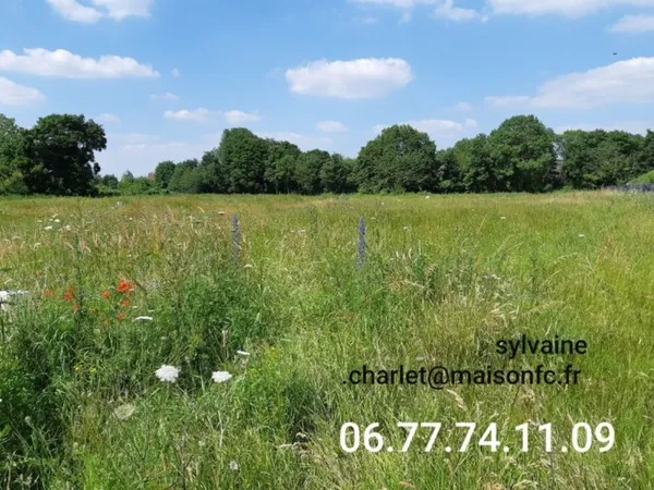 Terrain 433 m²