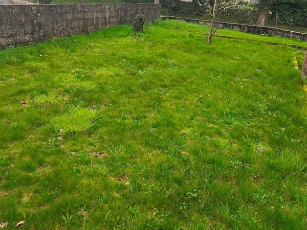 Terrain 200m²
