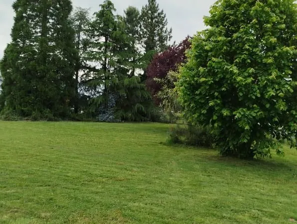 Terrain à bâtir arboré (606 m2)
