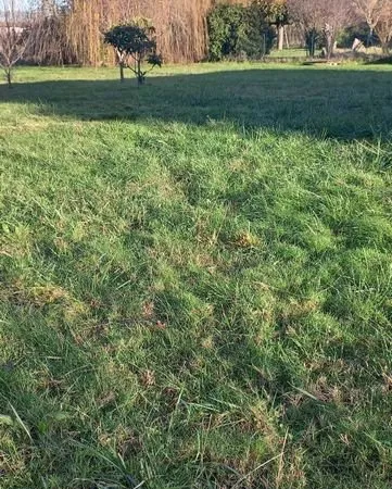 Grand terrain constructible