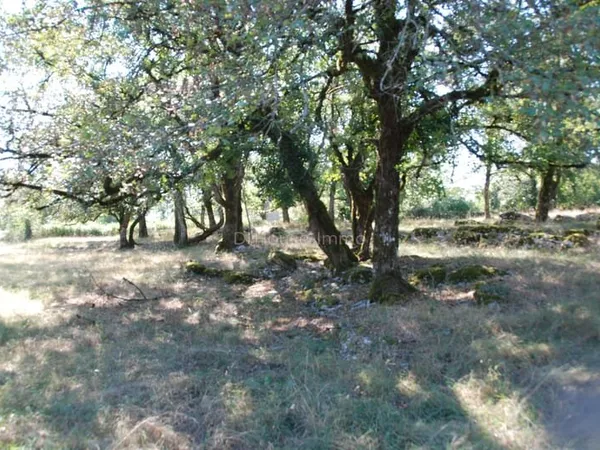 Terrain constructible à Loubressac 46130