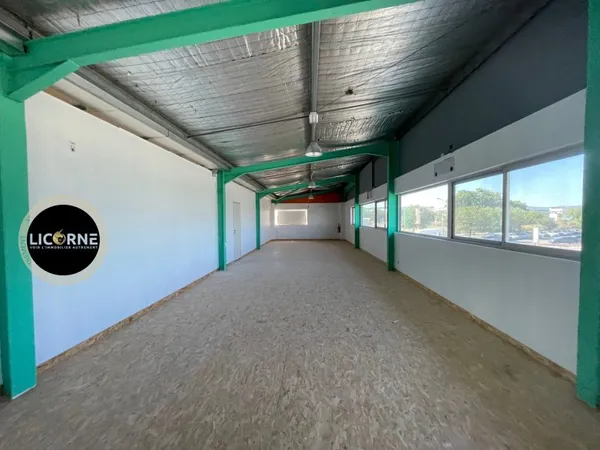 Local professionnel 250 m²