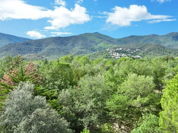 Terrain en individuel 840 m²