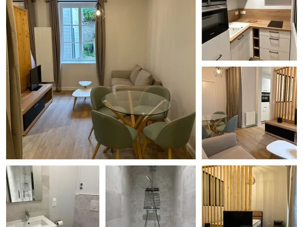 Appartement centre orleans