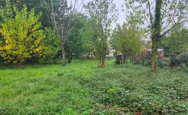 Terrain 1007 m²