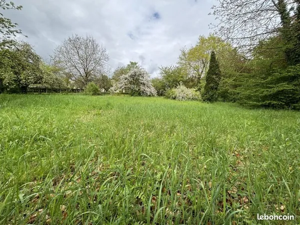 Terrain 2771 m² Sarrebourg