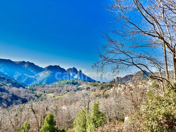 EVISA (CORSE) A VENDRE : Ensemble immobilier touristique : bâtiment gîte-hôtel/restaurant + 6 chalet
