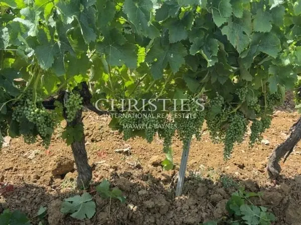 Propriété viticole en Aoc Bordeaux et Graves de Vayres - Libournais