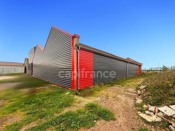 Local 558 m²