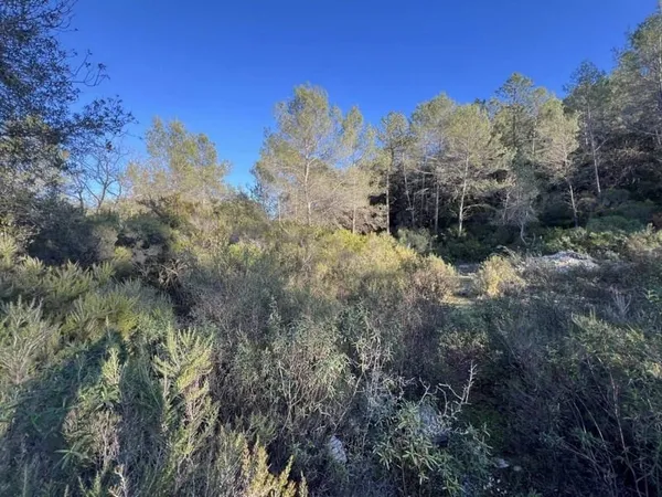 Terrain 1000 m²