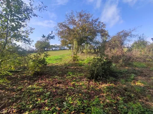 Charmante grange en pierre avec terrain et CU - Un potentiel exceptionnel !