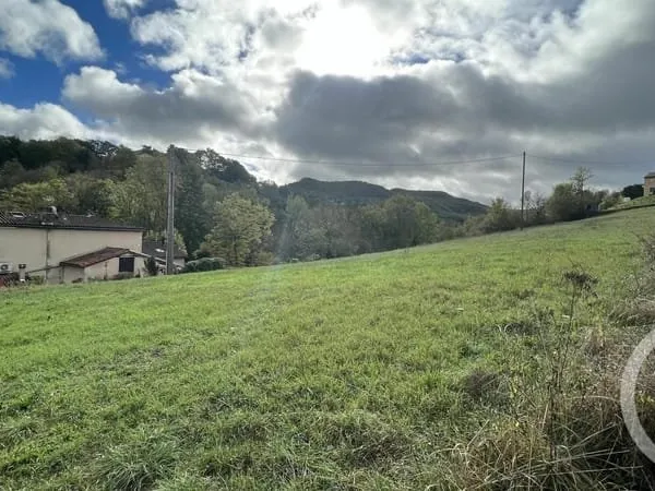 Terrain 5563 m²