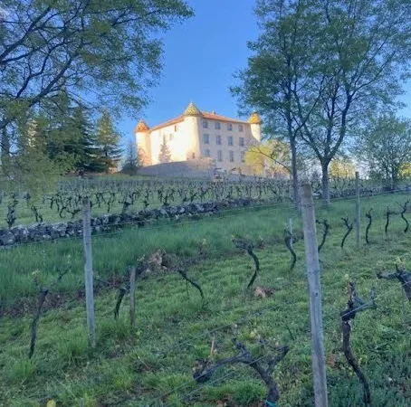 Château 35 pièces 1039 m²