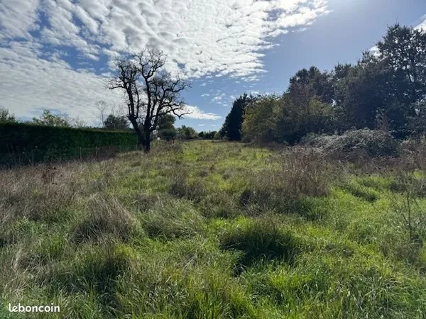 Terrain 2665 m² Montmorillon
