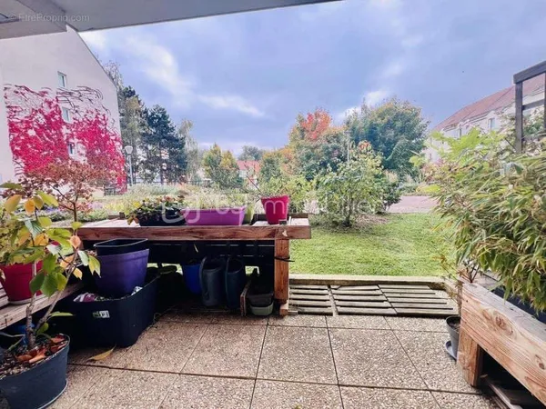 Appartement 4 pieces de 79m2 - rez de jardin - centre ville - lumineux et sans travaux