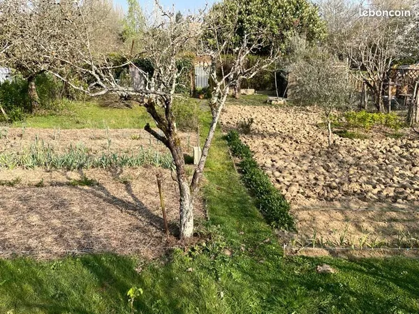 Terrain Vente Saint-Pavace  369m² 11000€