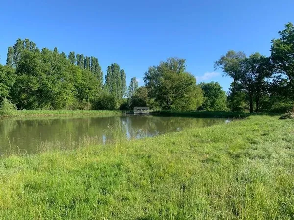 Terrain 15196 m²