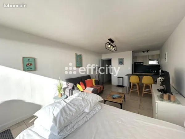 Appartement 1 pièce 31 m²