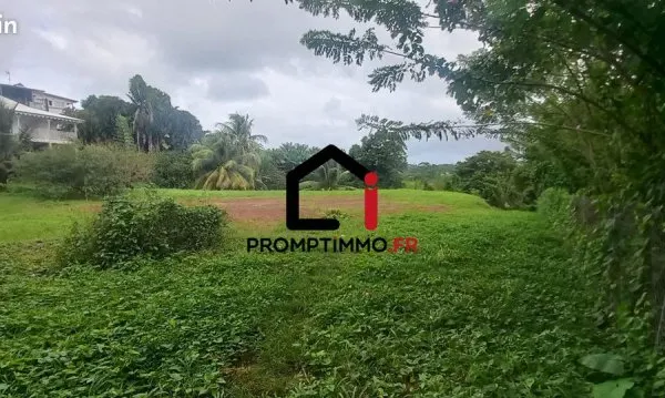 Terrain 2332 m² Le Lamentin