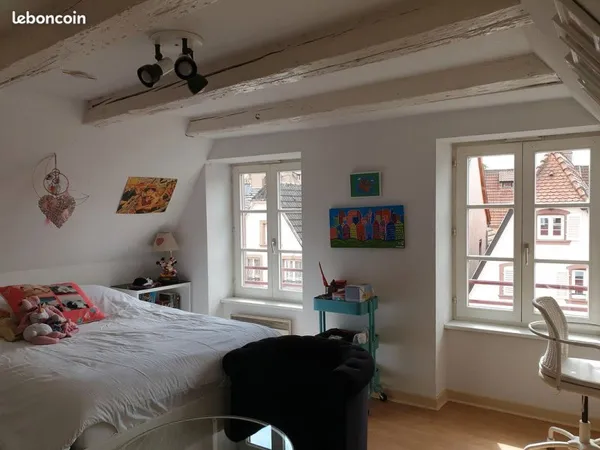 Saverne centre ville - Grand duplex 114 m² - 5 pièces - 3 chambres