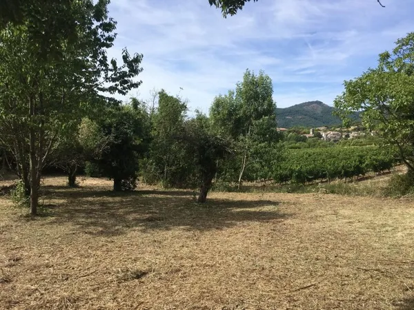 Terrain Constructible à Joannas, Ardèche Méridionale
