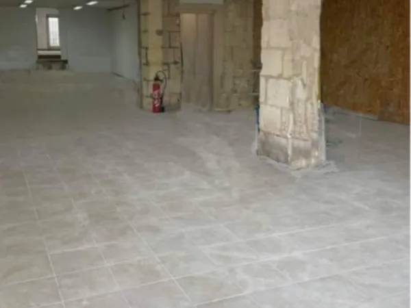 Local 225m2