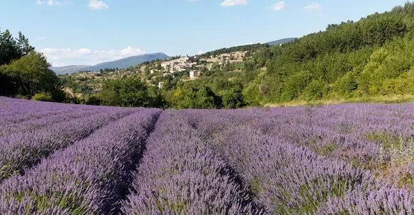 Maison 6 pièces 149 m²