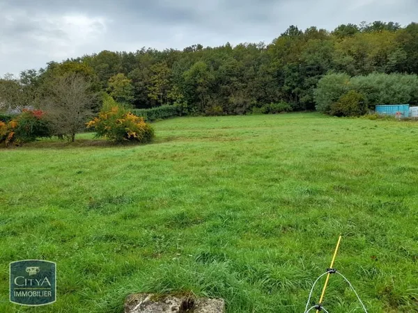 Terrain à bâtir Vente Le Blanc  4500m² 49500€