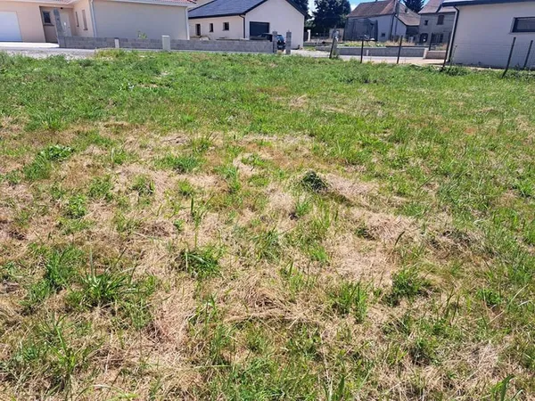Terrain 564 m²