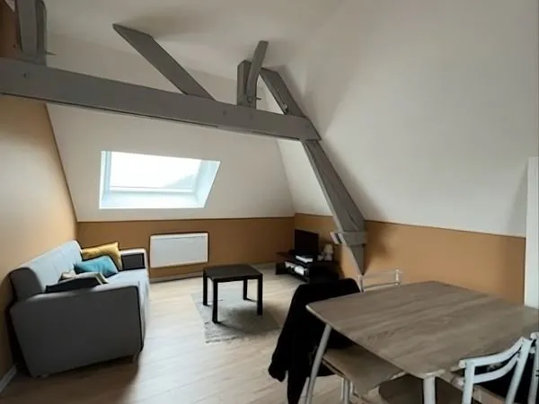 Bel appartement T3 proche CHU et place Bichon