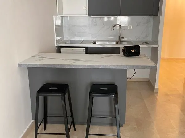 Lyon 3e Part-Dieu - F2 47,50m² entièrement rénové à neuf - Standing exceptionnel - Cuisine équipée h
