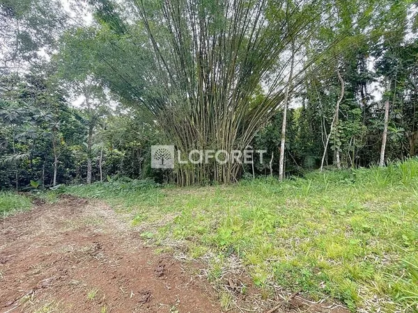 Terrain constructible 1700 m²