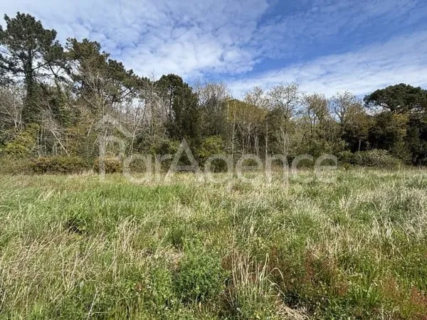 Terrain 415 m²