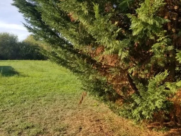 Terrain 600 m²