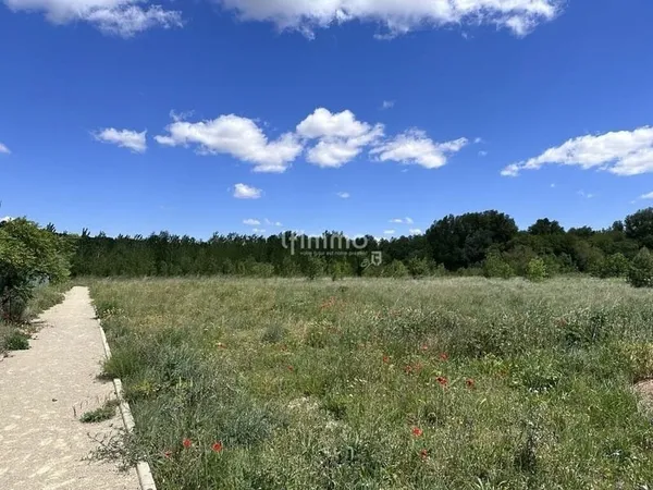 Terrain à batir entre Beziers et Bedarieux