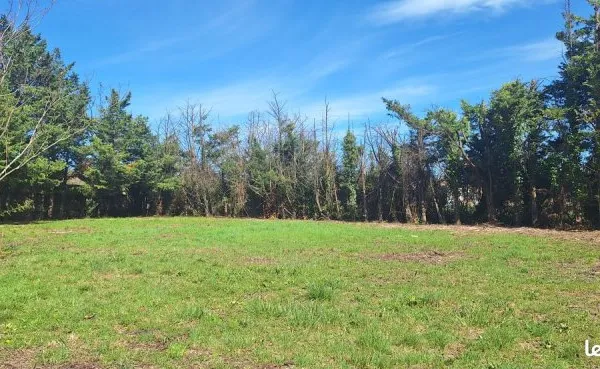 Terrain constructible viabilisé
