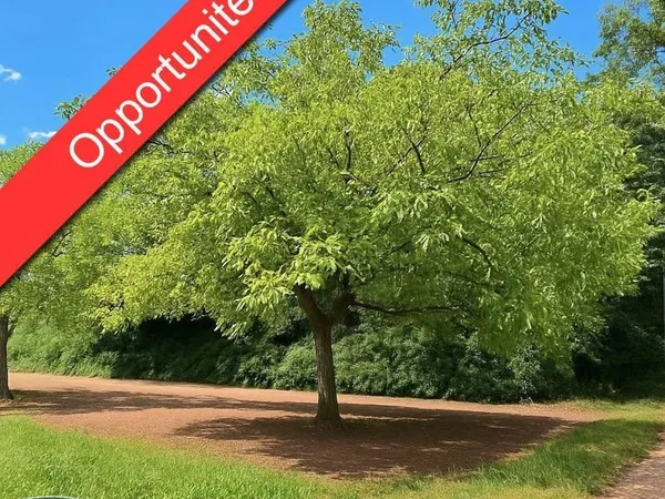 Terrain 2613 m²