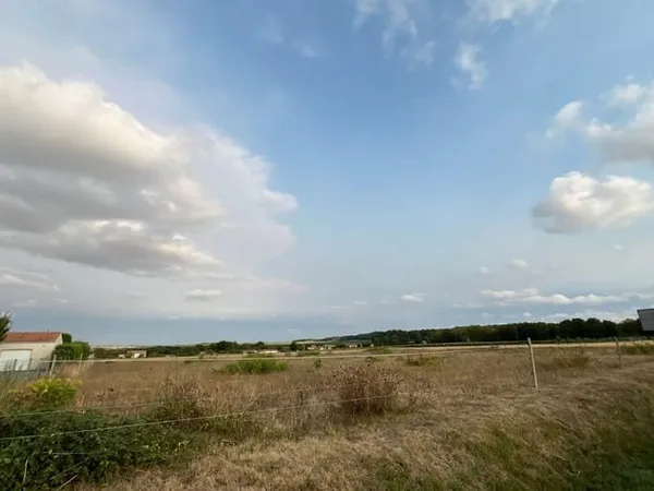 Terrain 5393 m²