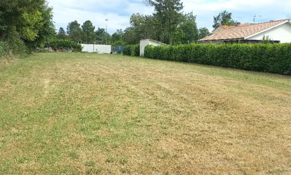 Terrain 1368 m²