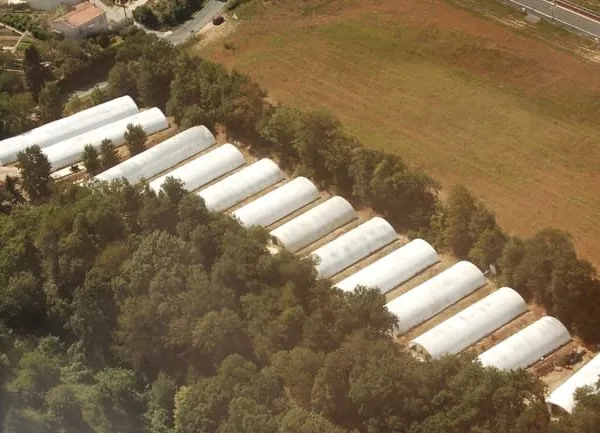 Pépinières sur terrain de 8400 m2 Mazamet