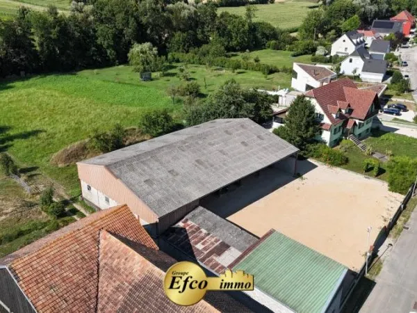 Local d’activité et entrepôt Vente Wahlbach   249000€