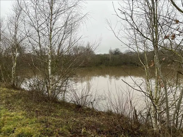 Terrain 90000 m²