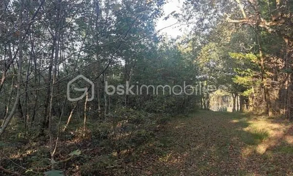 Terrain constructible 1428 m²