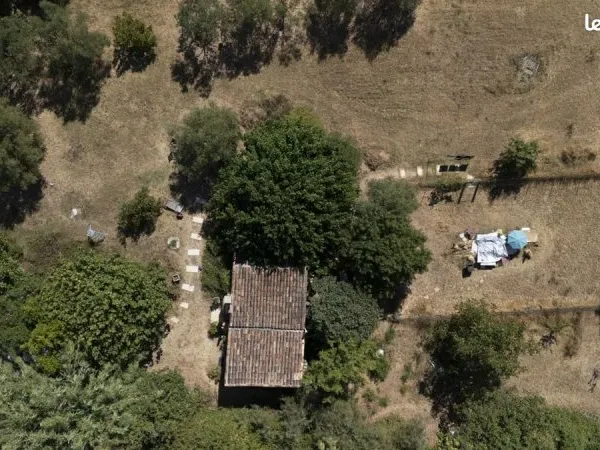 Maisonnette T3 54 m² (type cabanon) sur une parcelle plate de 3 400 m², avec des oliviers