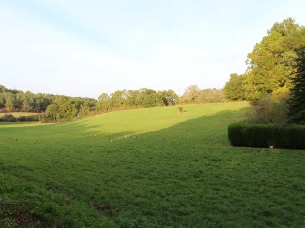Terrain en individuel 8846 m²
