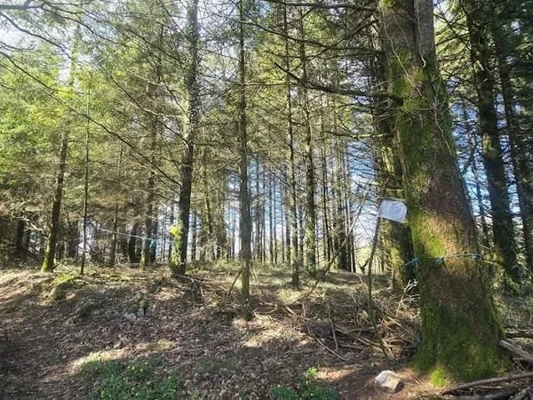 Terrain 5600 m²